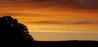 Apartamento Welsh Cabin