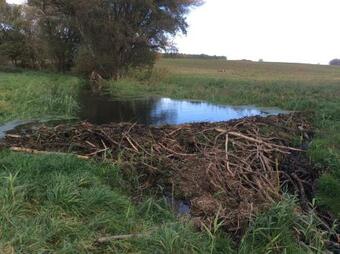 Apartamento Gutshaus Alt-jargenow