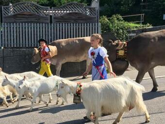 Bed & Breakfast Bnb-blomberg