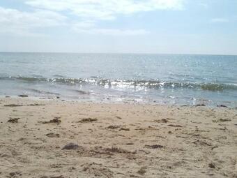 Bed & Breakfast Bayside Cottage B & B