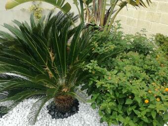 Apartamento Appartamento Casa Vacanze