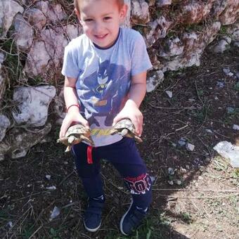 Sotonici Village Glamping