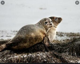 Villa Lj�rsk�gar Lodge