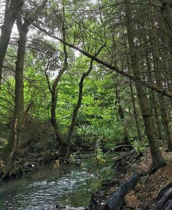 Apartamento Roseng�rd