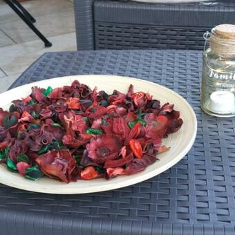 Apartamento B&B Cuore Verde