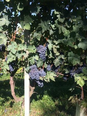 Apartamento Casa "t"