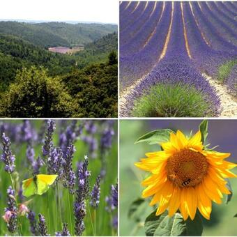 Apartamento Sweet Home Studio Aix En Provence, Terrasse, Piscine, Resto,