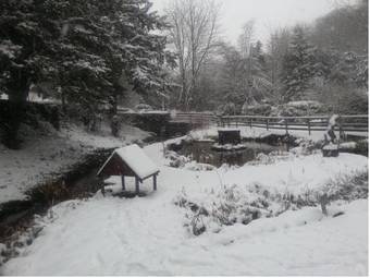 Bed & Breakfast Cascades Gardens