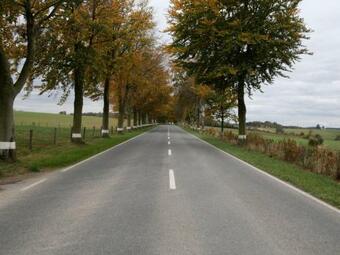 Cozy Chalet In Wincrange With Private Garden