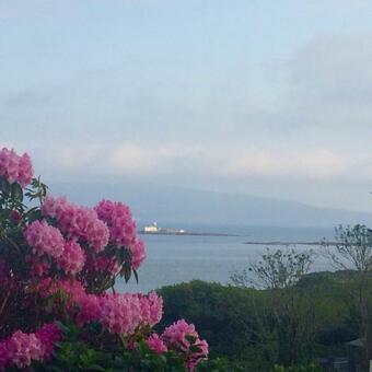 Bed & Breakfast Niblick