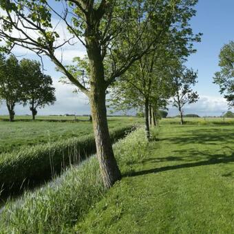 Buitenplaats De Wiske