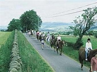 Hostal Kings Arms Hotel