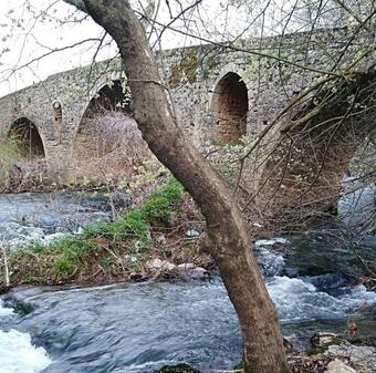 ??????? ??? ???????? ?????