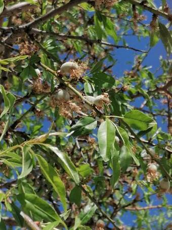 Ferienhaus Villa Stella