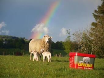 Incheoch Farm Granary
