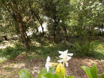 B&B Il Leccio Nel Bosco