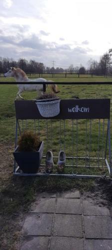 Bed & Breakfast De Wilgenhoeve