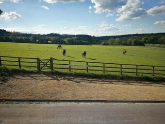 Bed & Breakfast Staggs Cottage