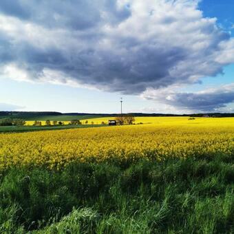 Apartamento O?rodek Volfcamp Kwaszenina