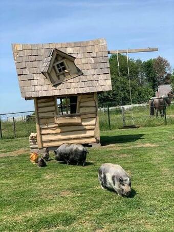 Apartamento Lodewijkhoeve