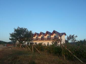 Hostal Pensiunea Casa Negrea