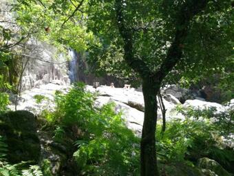 Casinha Do Jo�o No Ger�s