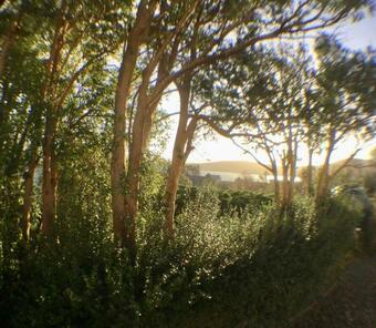 Rodeen Self-catering Apartment