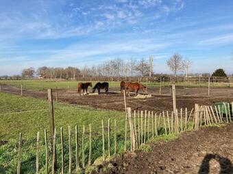 Apartamento Bed Met Paard