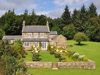 Bed & Breakfast The Falcon Inn