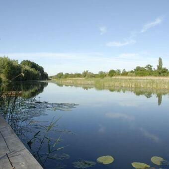 Korcsetta Vend�gh�z