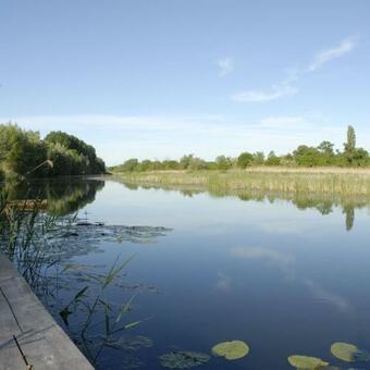 Apartamento Kl�gya Vend�gh�z