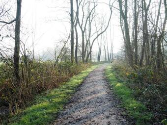 Bed & Brochje Burgum