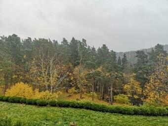 Apartamento Green Bear