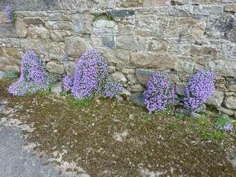 Castlehamilton Cottages And Activity Centre