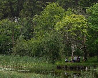 Apartamento The Cabin @ Willowmere (garden Log Cabin)