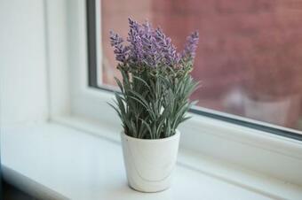 Apartamento Modern Coastal House Nr Ashington Centre With Wifi