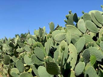 Bed & Breakfast Villa Di Noi