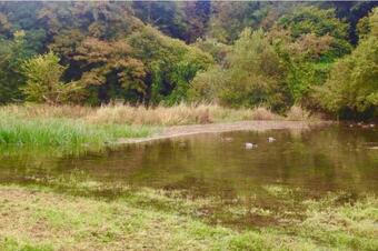 The Saltings - A Tranquil Space