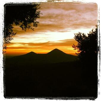 Holiday House Petrarca