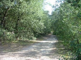 Maison Angles , 4 Pi�ces, 6 Personnes - Fr-1-357-267