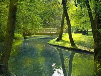 Lesnavesna Designer Apartment With A Garden