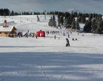 Apartma Ro?le - Rogla