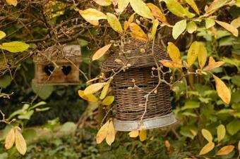 Bed & Breakfast Alle Fronde