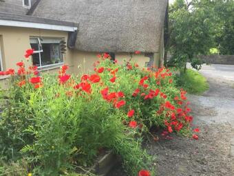 Bed & Breakfast Bridge Cottage