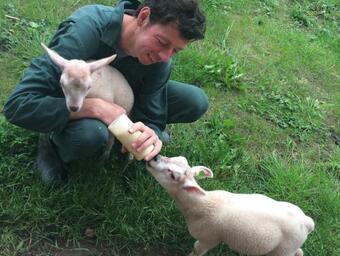 Bed & Breakfast Boerengastenverblijf De Kromme Rijn