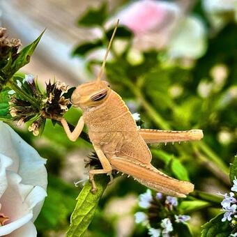 Hotel Monte Dos Po�os