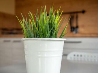 Pokoje Go?cinne Bolk�w