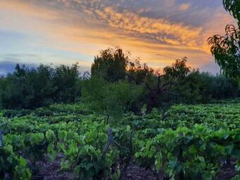 Apartamento Finca Mula