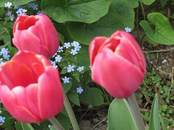 Hostal ?????? ??? ????