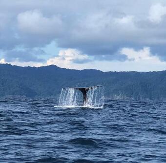 Hotel Bah�a Yubarta